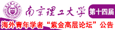 大鸡巴操小逼好舒服啊的视频南京理工大学第十四届海外青年学者紫金论坛诚邀海内外英才！